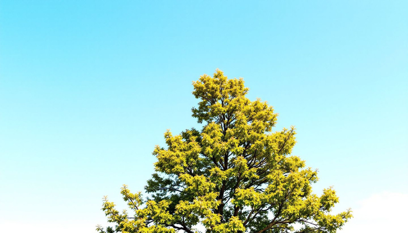 Comment gérer l'entretien des arbres à croissance rapide
